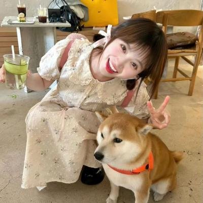 犀牛季节